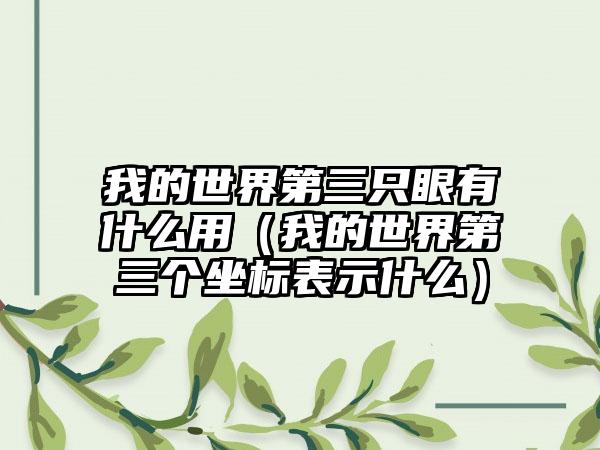 我的世界第三只眼有什么用（我的世界第三个坐标表示什么）