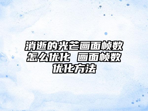 消逝的光芒画面帧数怎么优化 画面帧数优化方法