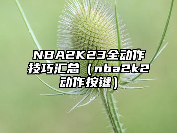 NBA2K23全动作技巧汇总（nba2k2动作按键）