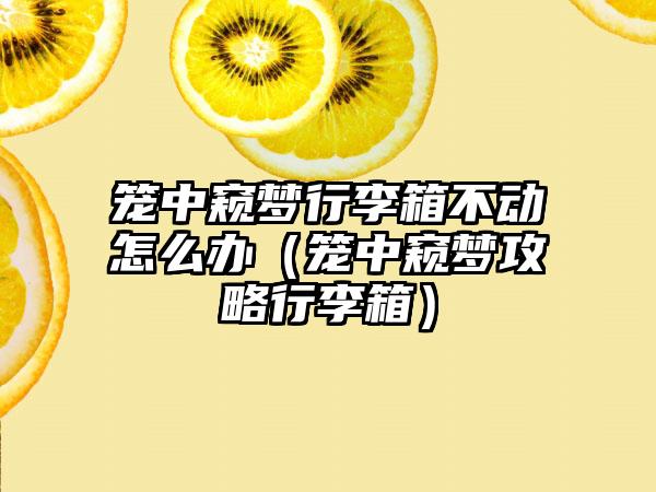 笼中窥梦行李箱不动怎么办（笼中窥梦攻略行李箱）