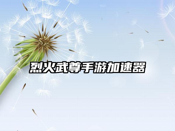 烈火武尊手游加速器