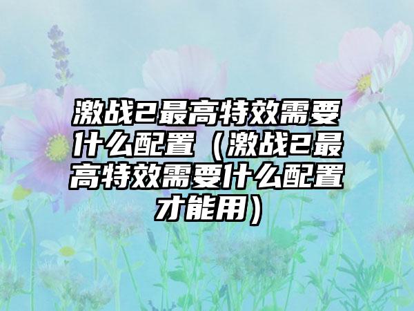 激战2最高特效需要什么配置（激战2最高特效需要什么配置才能用）