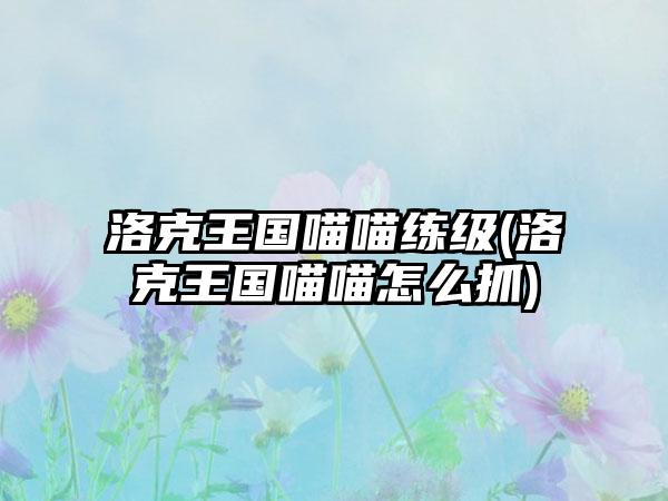 洛克王国喵喵练级(洛克王国喵喵怎么抓)