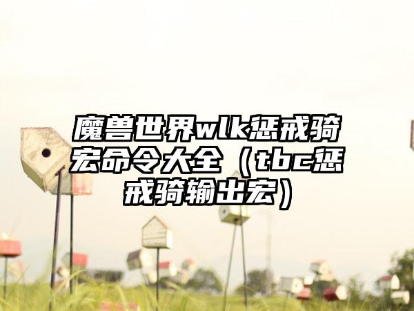 魔兽世界wlk惩戒骑宏命令大全（tbc惩戒骑输出宏）