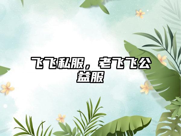 飞飞私服，老飞飞公益服