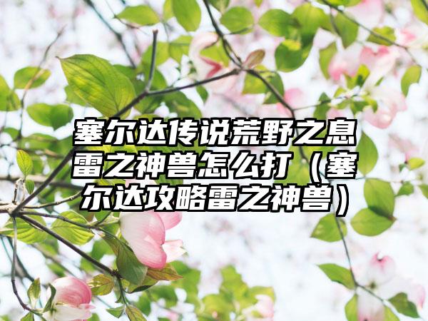 塞尔达传说荒野之息雷之神兽怎么打（塞尔达攻略雷之神兽）