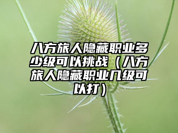 八方旅人隐藏职业多少级可以挑战（八方旅人隐藏职业几级可以打）