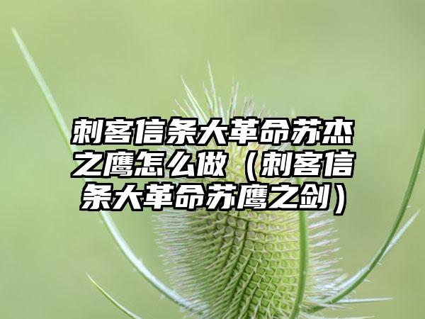 刺客信条大革命苏杰之鹰怎么做（刺客信条大革命苏鹰之剑）