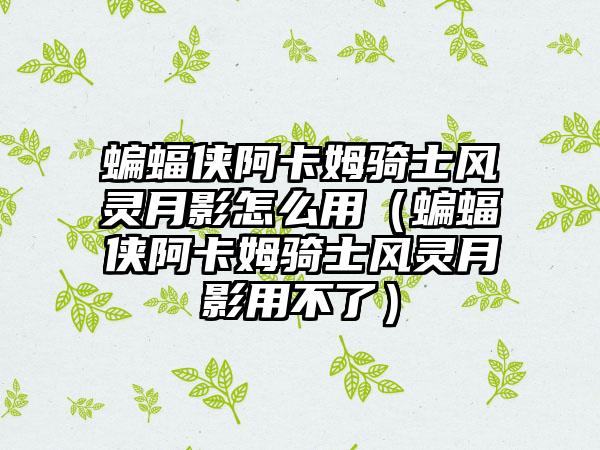 蝙蝠侠阿卡姆骑士风灵月影怎么用（蝙蝠侠阿卡姆骑士风灵月影用不了）