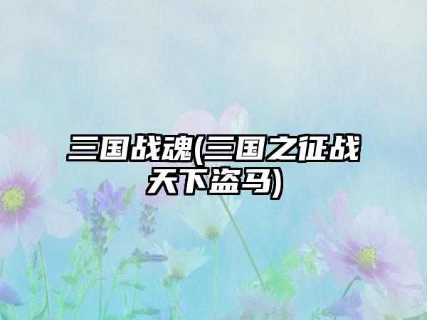 三国战魂(三国之征战天下盗马)