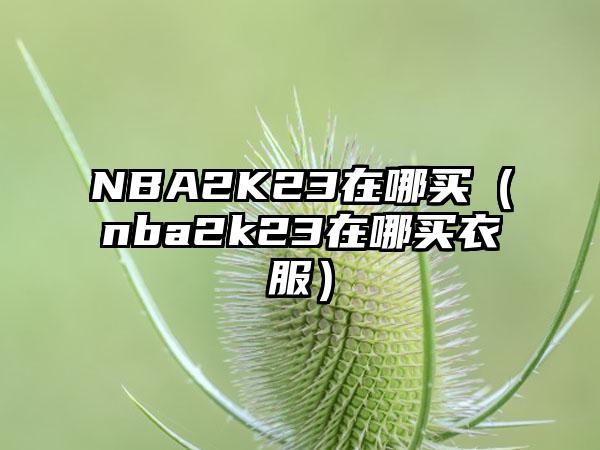 NBA2K23在哪买（nba2k23在哪买衣服）