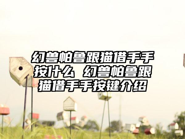 幻兽帕鲁跟猫借手手按什么 幻兽帕鲁跟猫借手手按键介绍