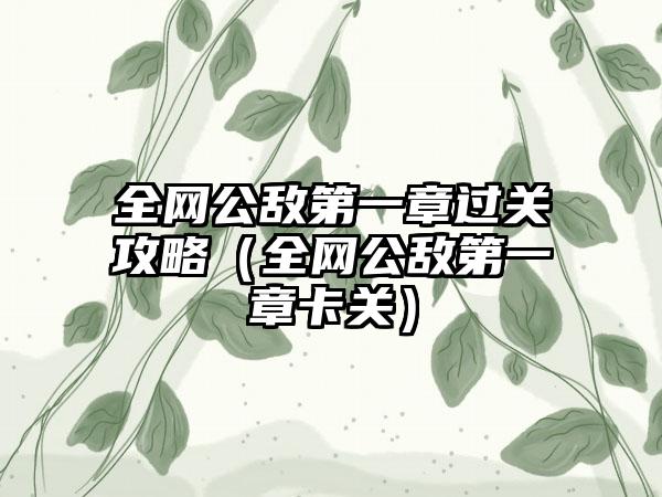 全网公敌第一章过关攻略（全网公敌第一章卡关）