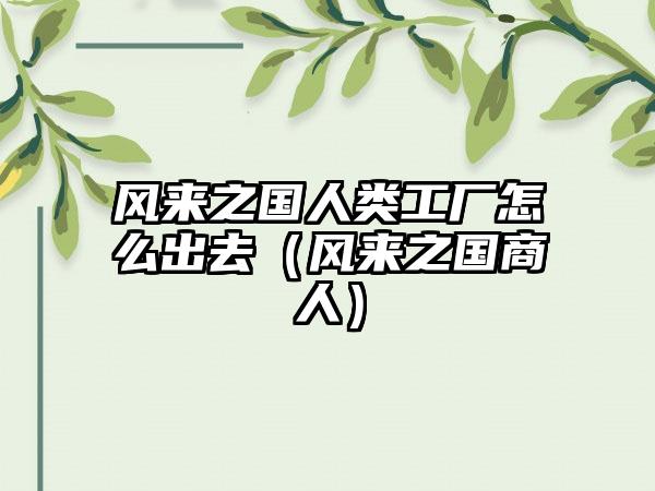 风来之国人类工厂怎么出去（风来之国商人）
