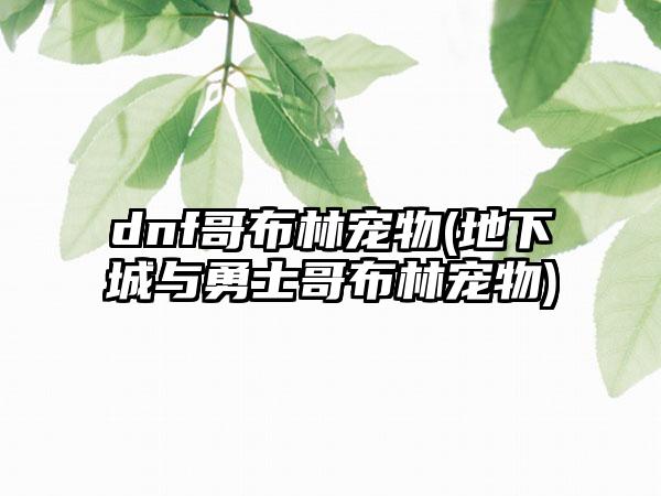dnf哥布林宠物(地下城与勇士哥布林宠物)