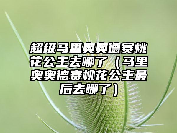 超级马里奥奥德赛桃花公主去哪了（马里奥奥德赛桃花公主最后去哪了）