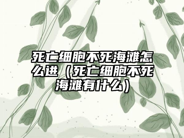 死亡细胞不死海滩怎么进（死亡细胞不死海滩有什么）