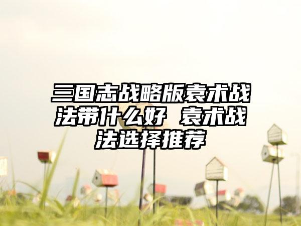 三国志战略版袁术战法带什么好 袁术战法选择推荐