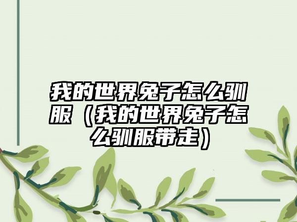我的世界兔子怎么驯服（我的世界兔子怎么驯服带走）