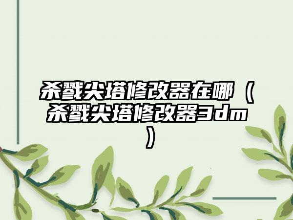 杀戮尖塔修改器在哪（杀戮尖塔修改器3dm）