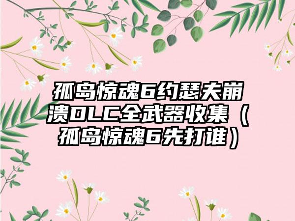 孤岛惊魂6约瑟夫崩溃DLC全武器收集（孤岛惊魂6先打谁）