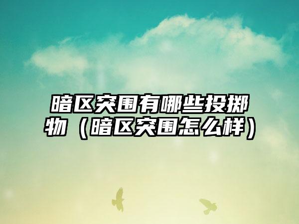 暗区突围有哪些投掷物（暗区突围怎么样）