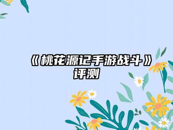 《桃花源记手游战斗》评测