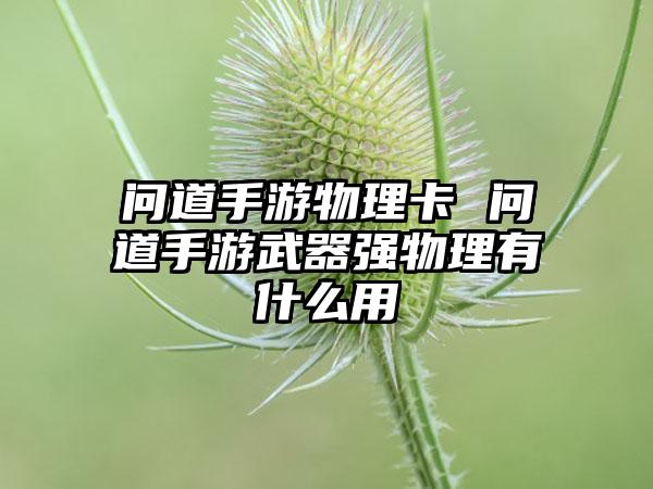 问道手游物理卡 问道手游武器强物理有什么用