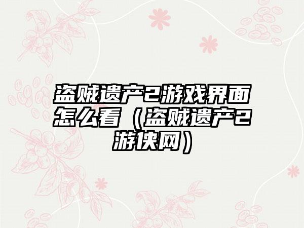 盗贼遗产2游戏界面怎么看（盗贼遗产2游侠网）