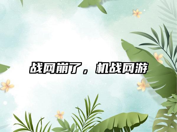 战网崩了，机战网游