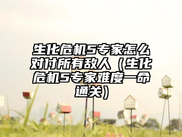 生化危机5专家怎么对付所有敌人（生化危机5专家难度一命通关）