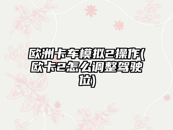欧洲卡车模拟2操作(欧卡2怎么调整驾驶位)