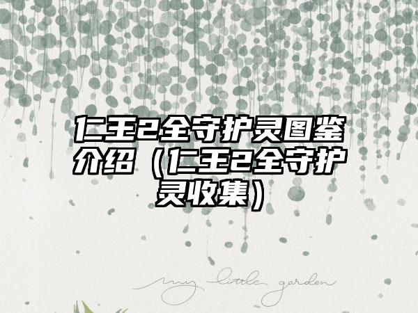 仁王2全守护灵图鉴介绍（仁王2全守护灵收集）