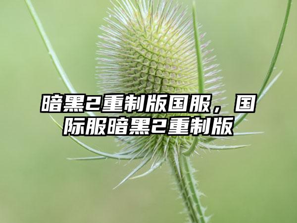 暗黑2重制版国服，国际服暗黑2重制版