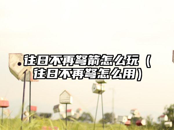 往日不再弩箭怎么玩（往日不再弩怎么用）