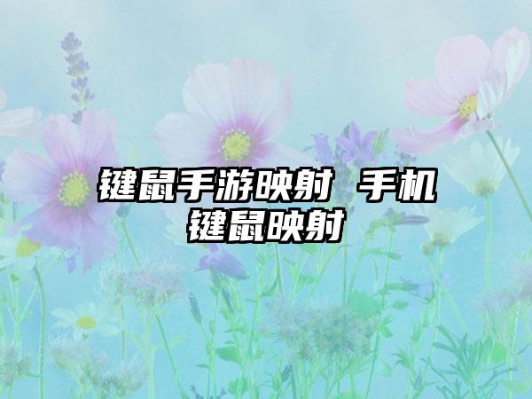 键鼠手游映射 手机键鼠映射