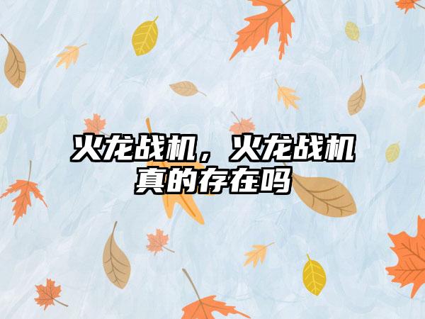 火龙战机，火龙战机真的存在吗