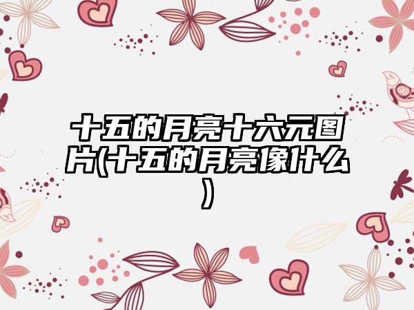 十五的月亮十六元图片(十五的月亮像什么)