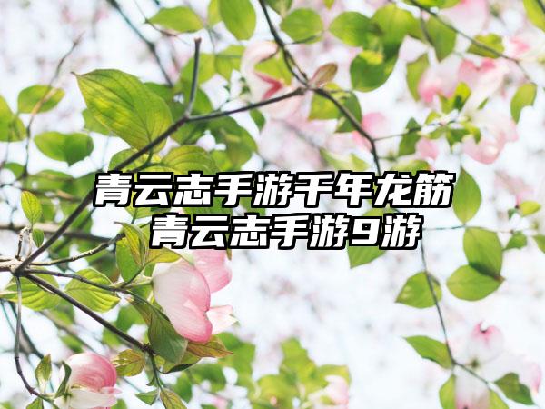 明日方舟末药悖论模拟强吗（明日方舟燧石悖论模拟）