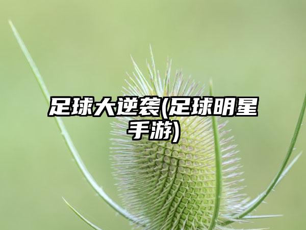 足球大逆袭(足球明星手游)