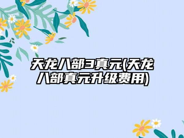 天龙八部3真元(天龙八部真元升级费用)