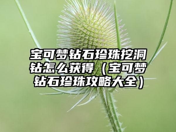 宝可梦钻石珍珠挖洞钻怎么获得（宝可梦钻石珍珠攻略大全）