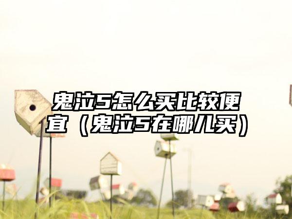鬼泣5怎么买比较便宜（鬼泣5在哪儿买）