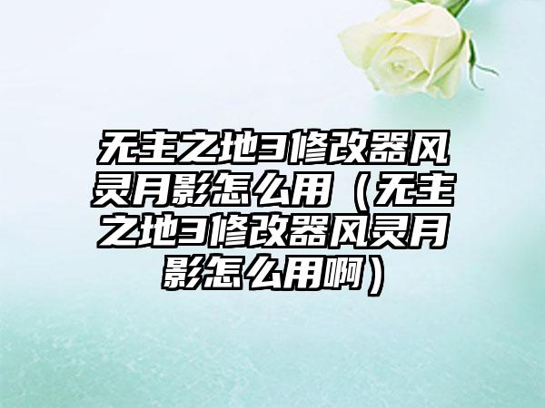 无主之地3修改器风灵月影怎么用（无主之地3修改器风灵月影怎么用啊）