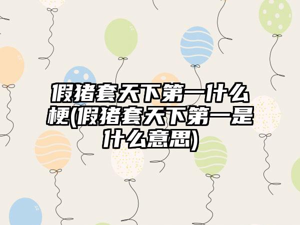 假猪套天下第一什么梗(假猪套天下第一是什么意思)