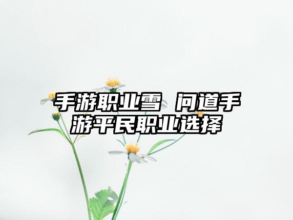 手游职业雪 问道手游平民职业选择