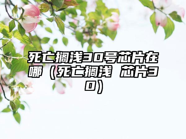 死亡搁浅30号芯片在哪（死亡搁浅 芯片30）