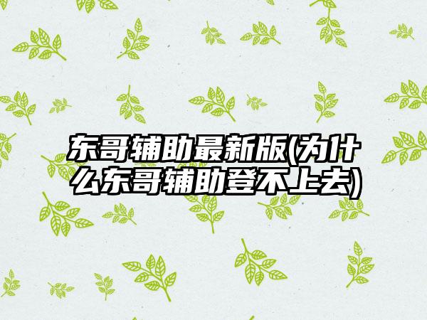 东哥辅助最新版(为什么东哥辅助登不上去)
