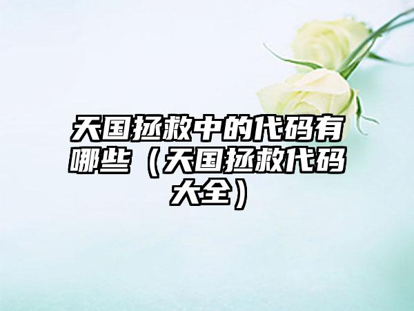 天国拯救中的代码有哪些（天国拯救代码大全）