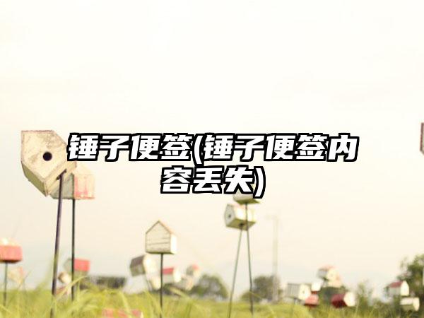 锤子便签(锤子便签内容丢失)